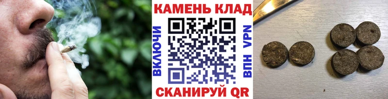 ГАШИШ Premium  hydra ссылки  Заводоуковск 