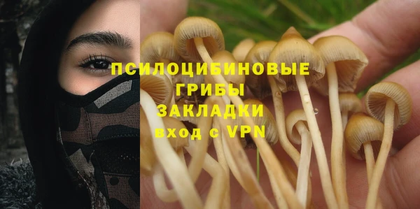меф Вяземский