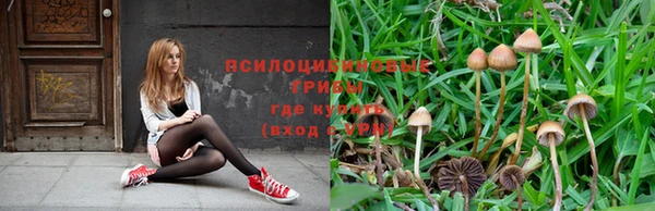 герыч Володарск