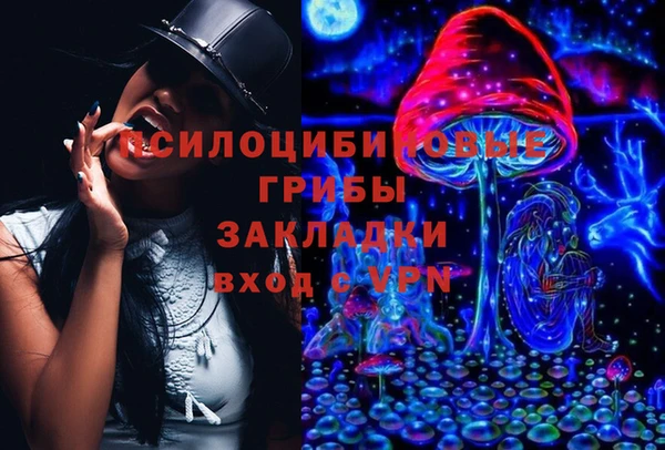 амф Горнозаводск